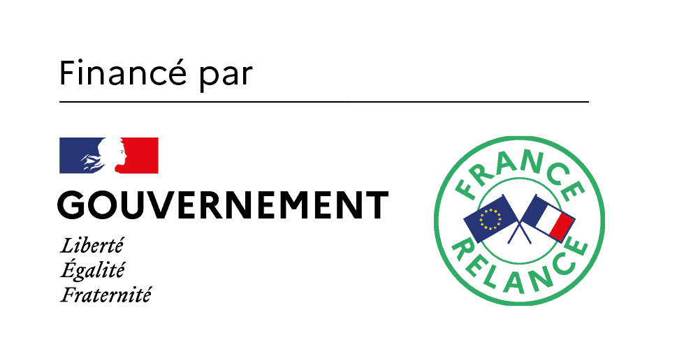 Le gouvernement français