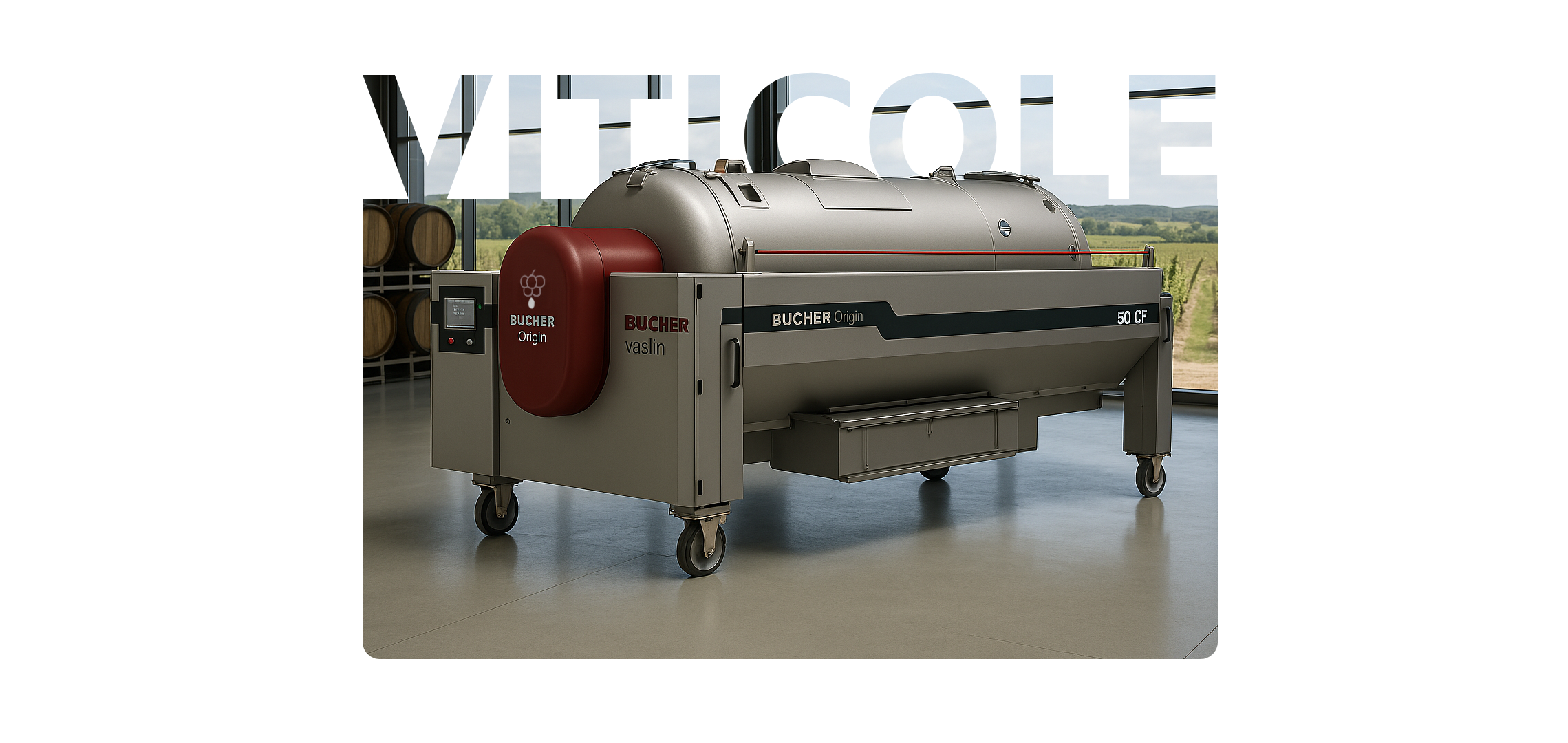 illustration viticole
